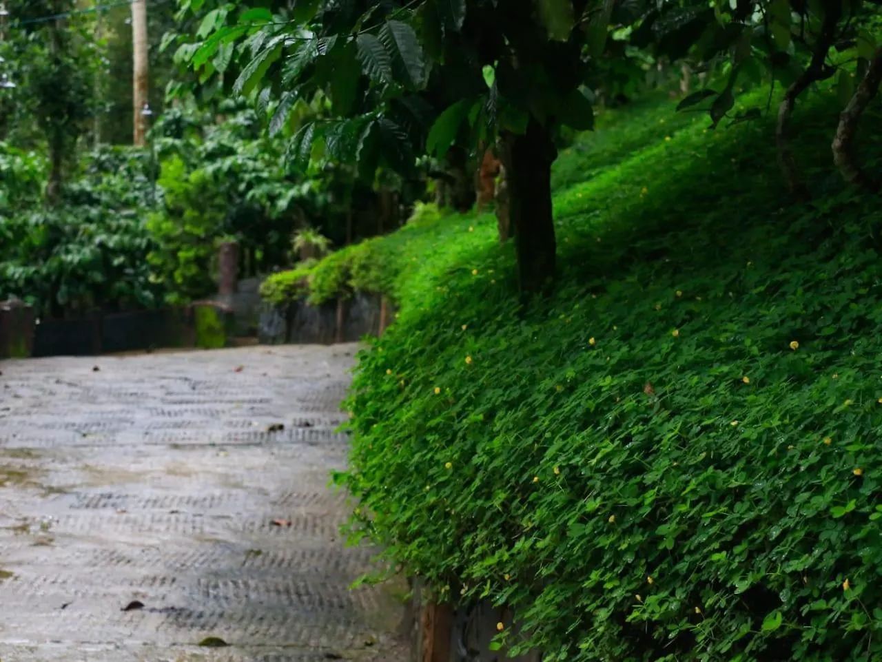 Fogland Villa Vaduvanchal