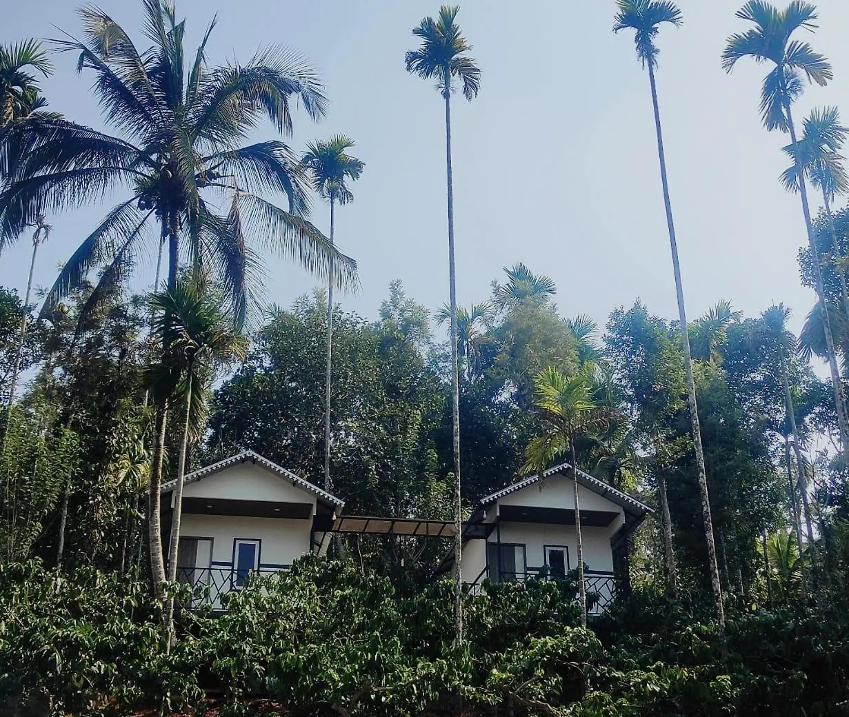 Fogland Villa Vaduvanchal